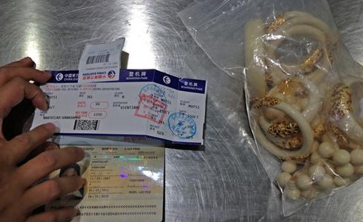 昆明機場X光機檢測通道發(fā)現9只象牙手鐲飾品[圖]